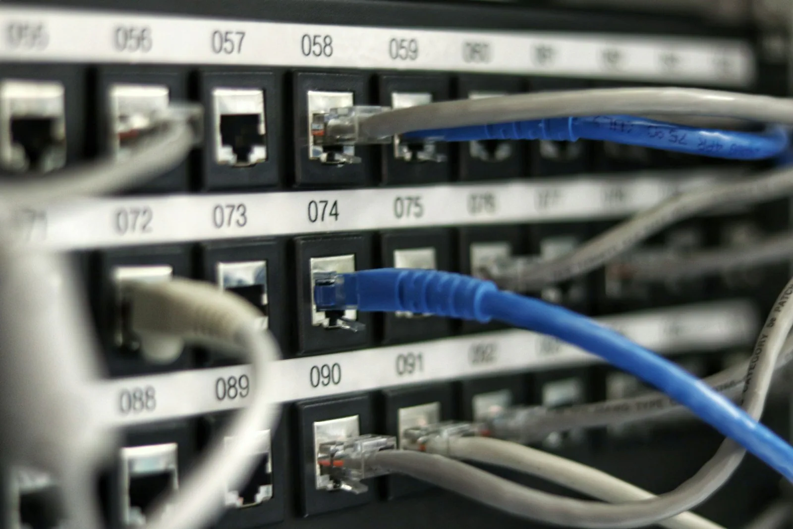 Nahaufnahme blauer Netzwerkkabel in nummerierten Anschlüssen.