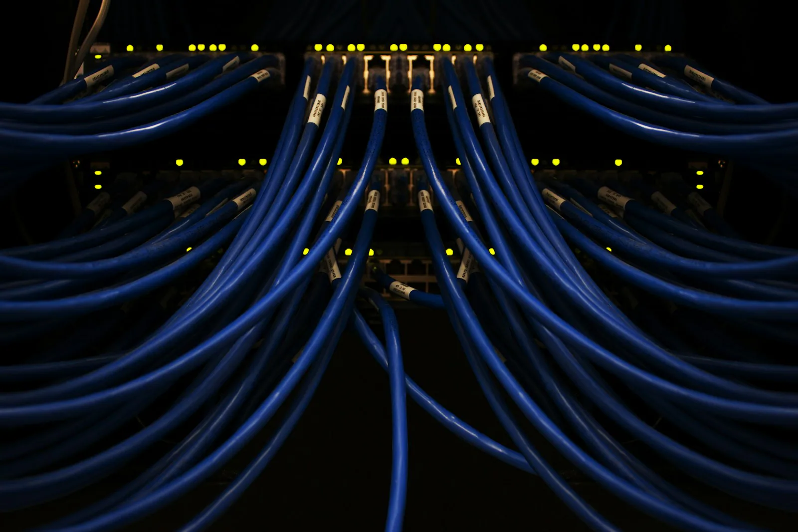 Blaue Netzwerkkabel und leuchtende Statusanzeigen an einem Verteiler.