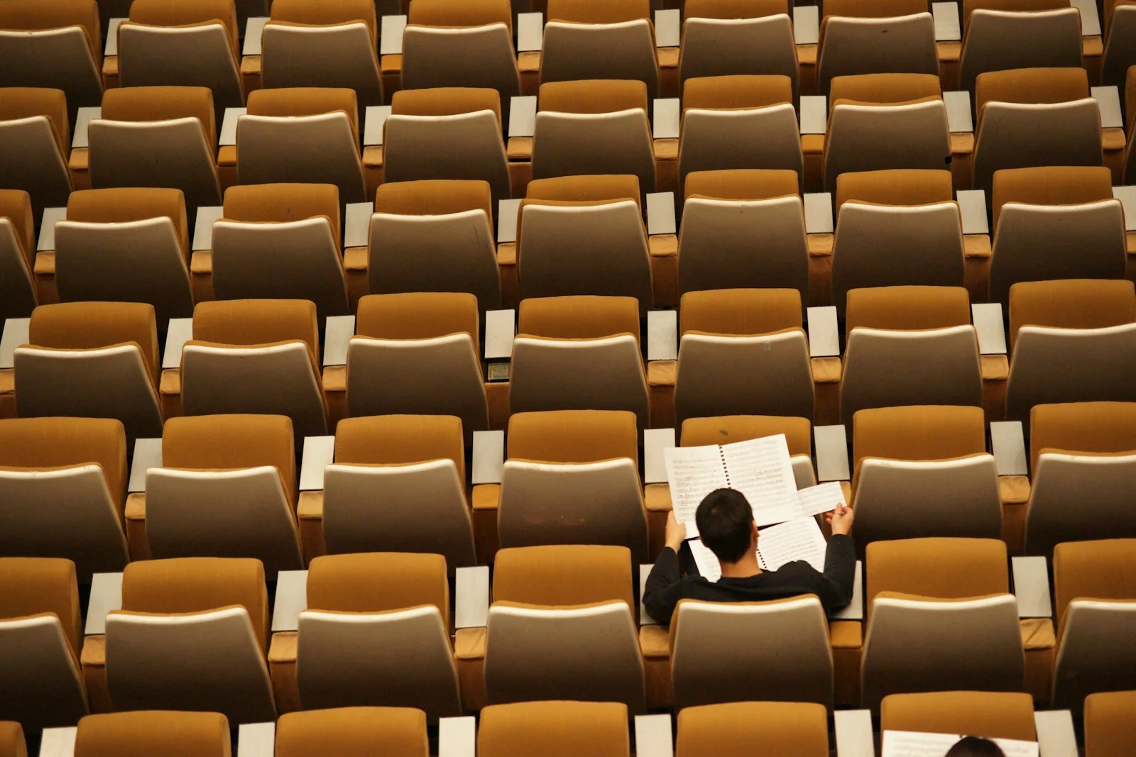 Eine Person liest in einem Saal mit ansteigenden Sitzreihen.